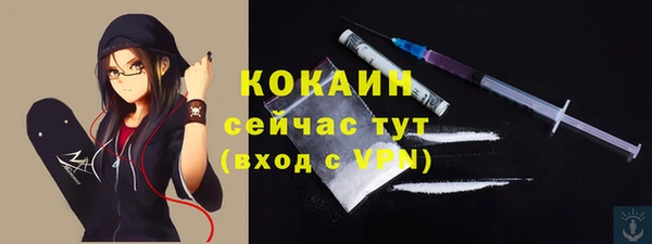 соль ск Алексин