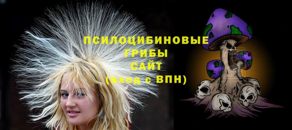 шишки Пестово